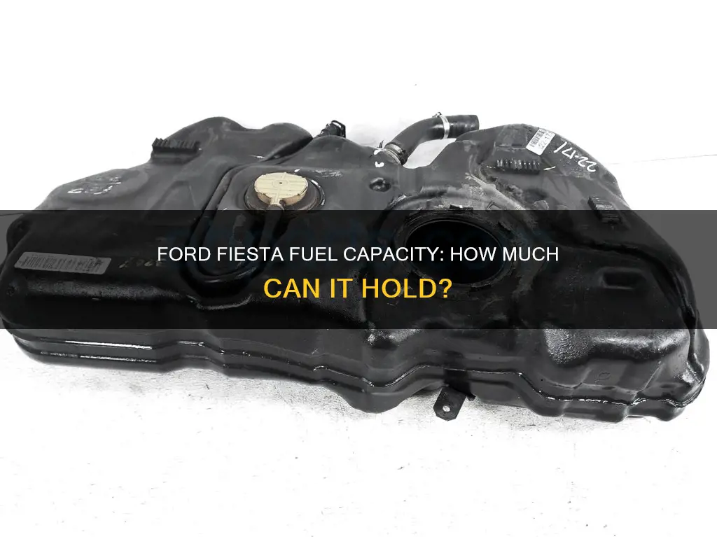 how much fuel dies a us ford fiesta hold