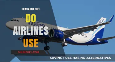 Airlines' Fuel Consumption: How Much and What Factors Influence It?