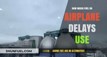 Plane Delays: Burning Fuel and Money