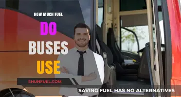 Fuel Efficiency of Buses: How Much Do They Consume?