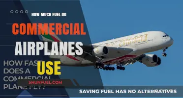 Fuel Consumption of Commercial Airplanes: How Much and Why?