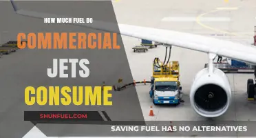 Fuel Consumption of Commercial Jets: How Much is Too Much?