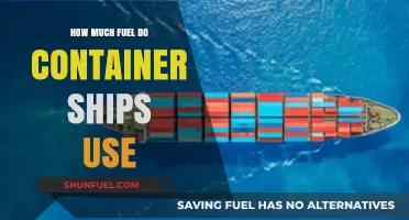 The Fuel Consumption of Container Ships