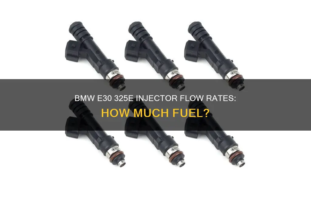 how much fuel do e30 325e injectors flow