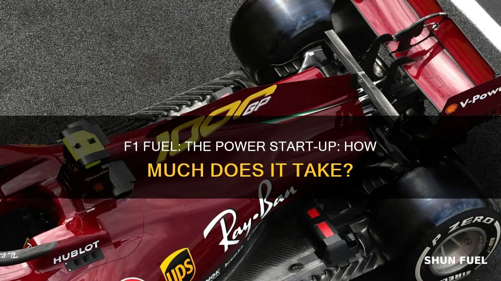 how much fuel do f1 cars start with