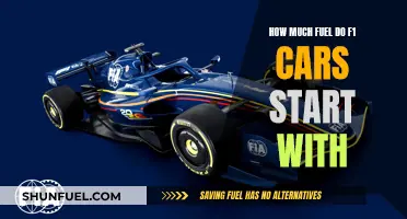 F1 Fuel Efficiency: Starting Strategy for Race Wins