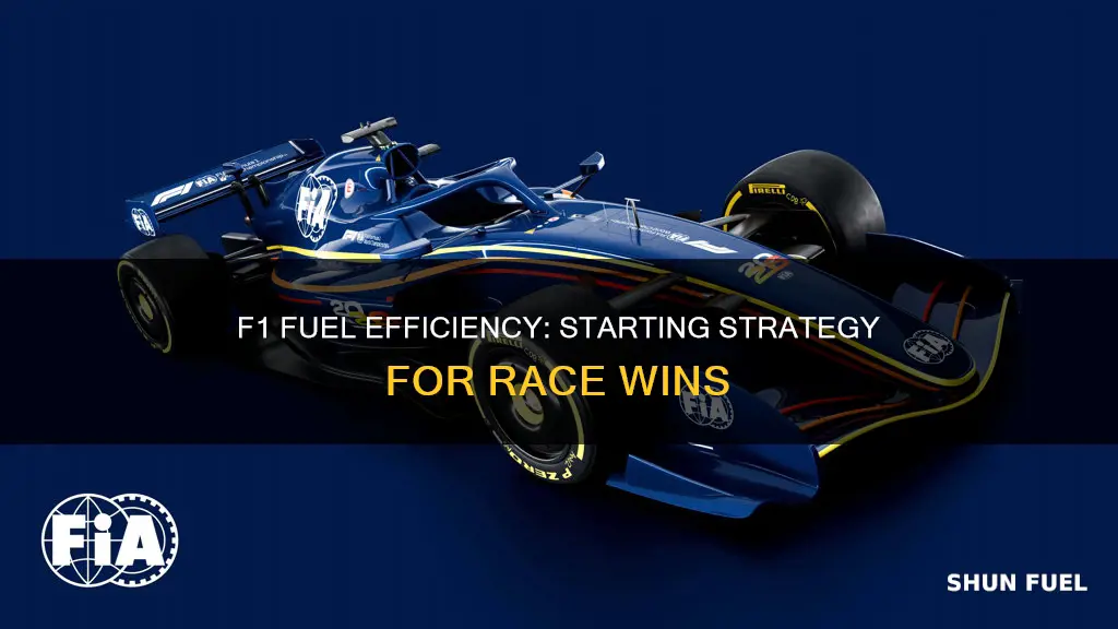 how much fuel do f1 cars start with