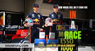 F1 Fuel Efficiency: How Far Can They Go?