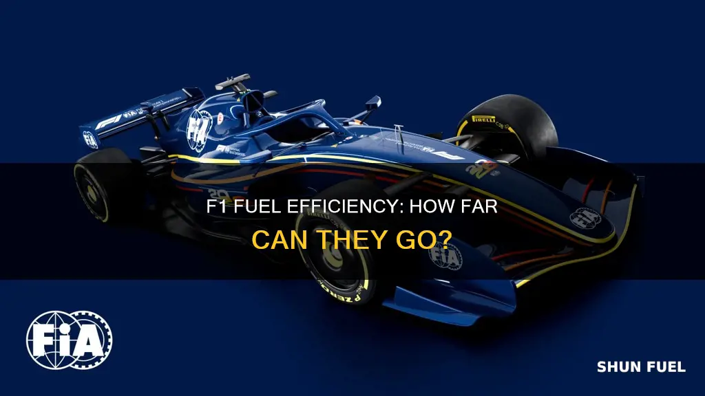 how much fuel do f1 cars use in a race