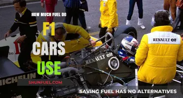 F1 Fuel Consumption: How Much Do Race Cars Use?