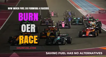 Fuel Efficiency in Formula 4 Racing: Burning Questions