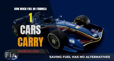 Fuel Efficiency: Formula 1 Car Fuel Capacity Explained
