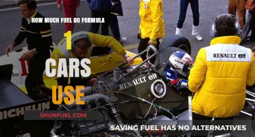 Formula 1 Fuel Consumption: How Much Do Race Cars Burn?