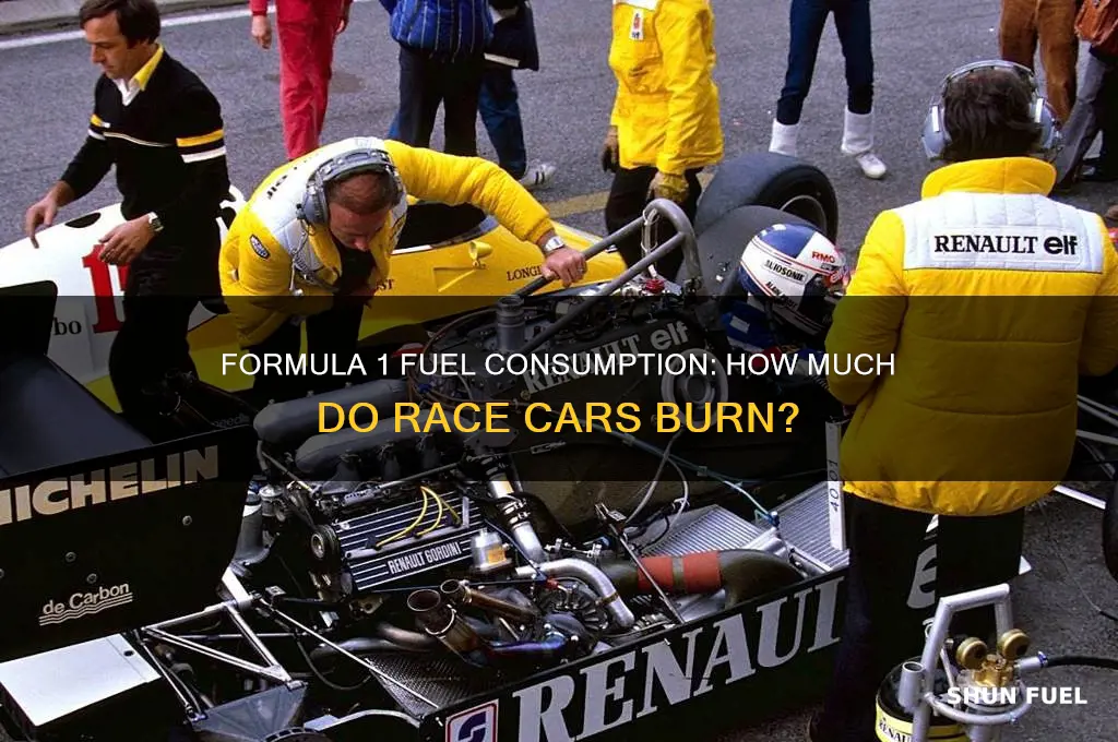 how much fuel do formula 1 cars use