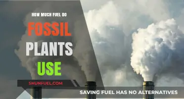Fossil Fuel Plants: Energy Consumption and Efficiency