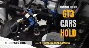 GT3 Cars: Fuel Capacity and Performance Limits
