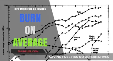 Human Fuel Consumption: Burning the Average