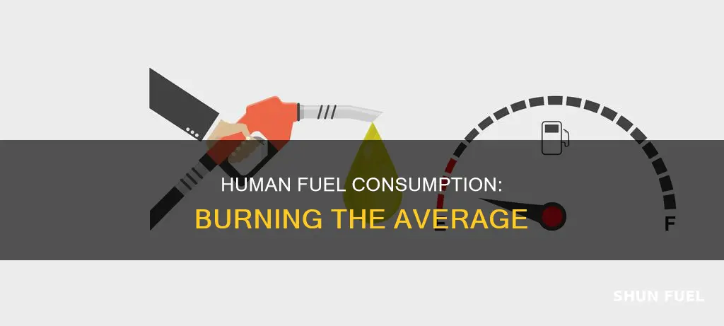 how much fuel do humans burn on average