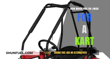 Kart Fuel: How Much is Enough?