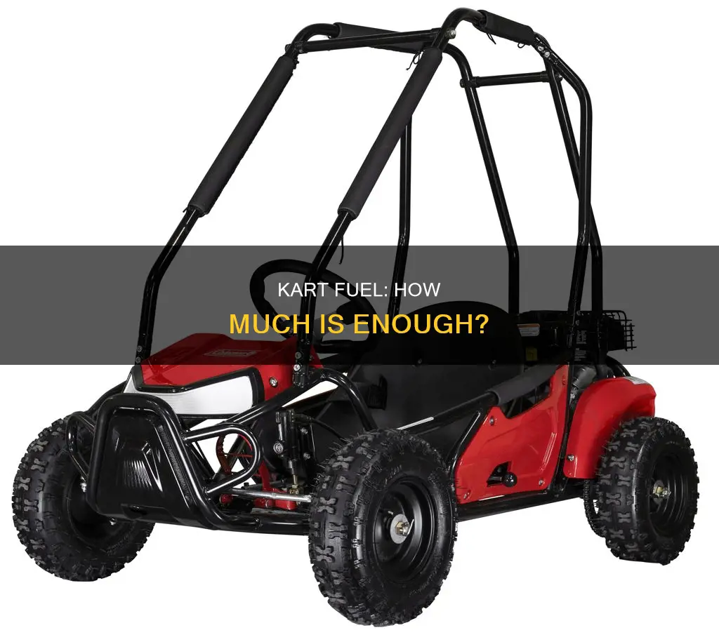 how much fuel do i need for a kart