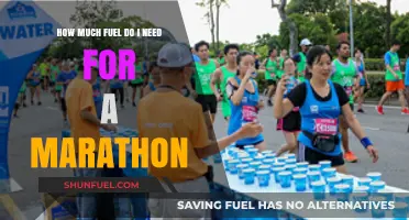 Fuel for the Long Run: Marathon Edition