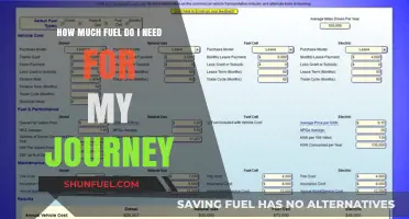 Fuel for Your Journey: How Much Gas Do You Need?