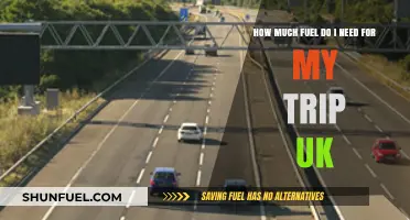 Fuel for Thought: Planning a UK Trip?