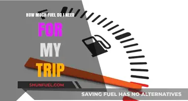 Fuel for Your Trip: How Much Gas Do You Need?