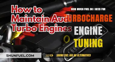 Fuel Requirements for Turbocharged Engine Tuning