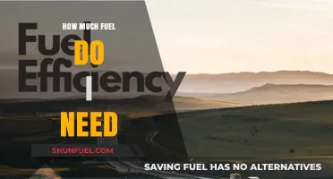 Fuel Consumption: How Much is Enough?