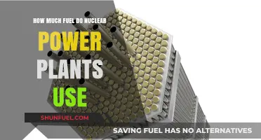 Nuclear Power Plants: Fuel Efficiency and Consumption