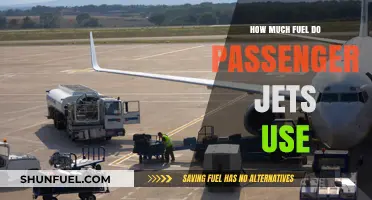 Fuel Consumption of Passenger Jets: How Much is Too Much?