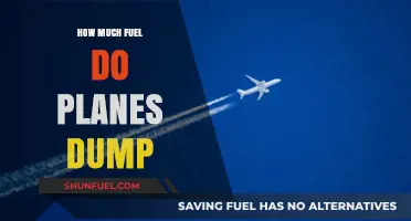 Airplanes Fuel Dumping: How Much and Why?
