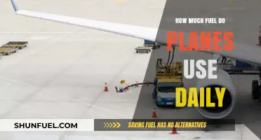 Fuel Consumption of Planes: A Daily Overview