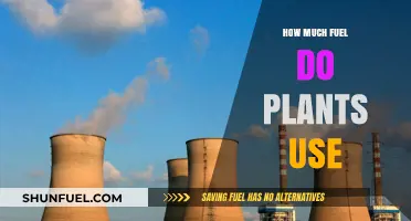 Plants' Fuel Consumption: Understanding Their Energy Needs