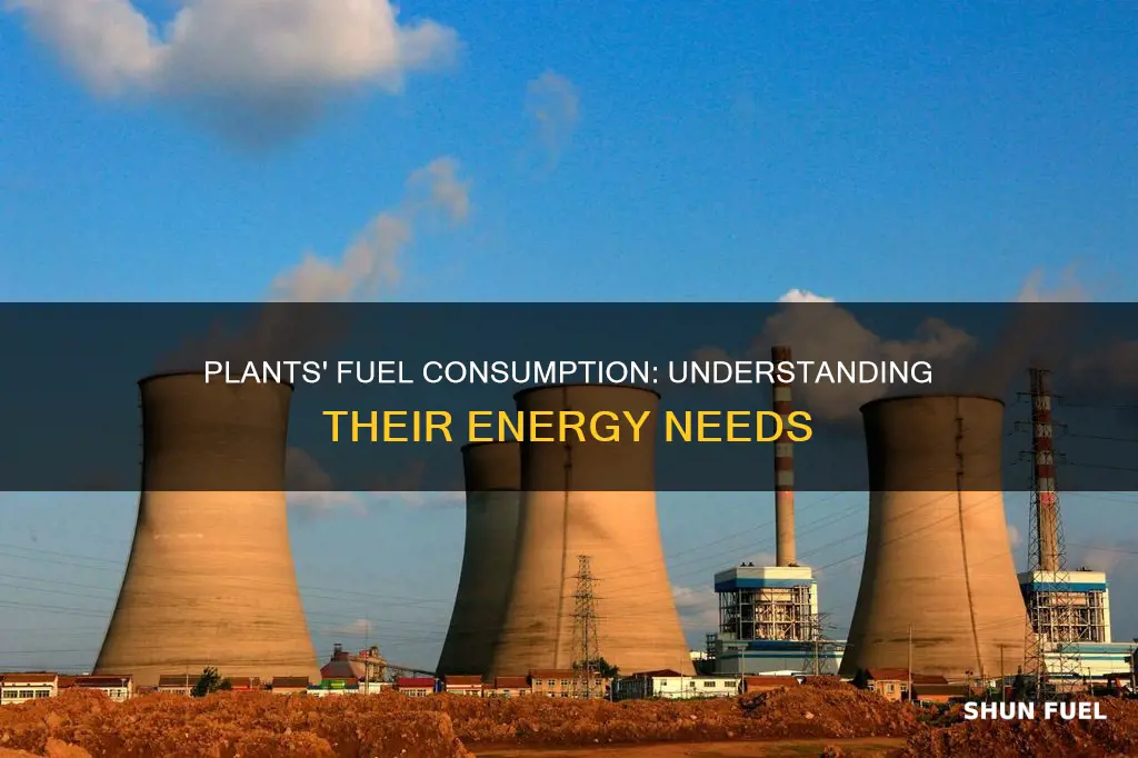 how much fuel do plants use
