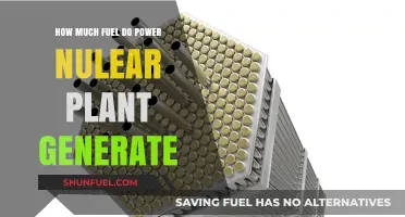 Nuclear Power Plants: Fuel Efficiency and Energy Generation