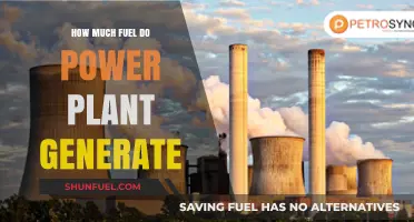 Power Plants: Fuel Generation Insights