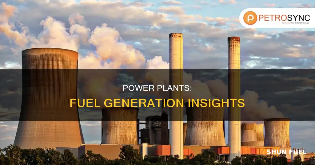 how much fuel do power plant generate