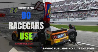 Fuel Efficiency on the Racetrack: How Much Is Enough?
