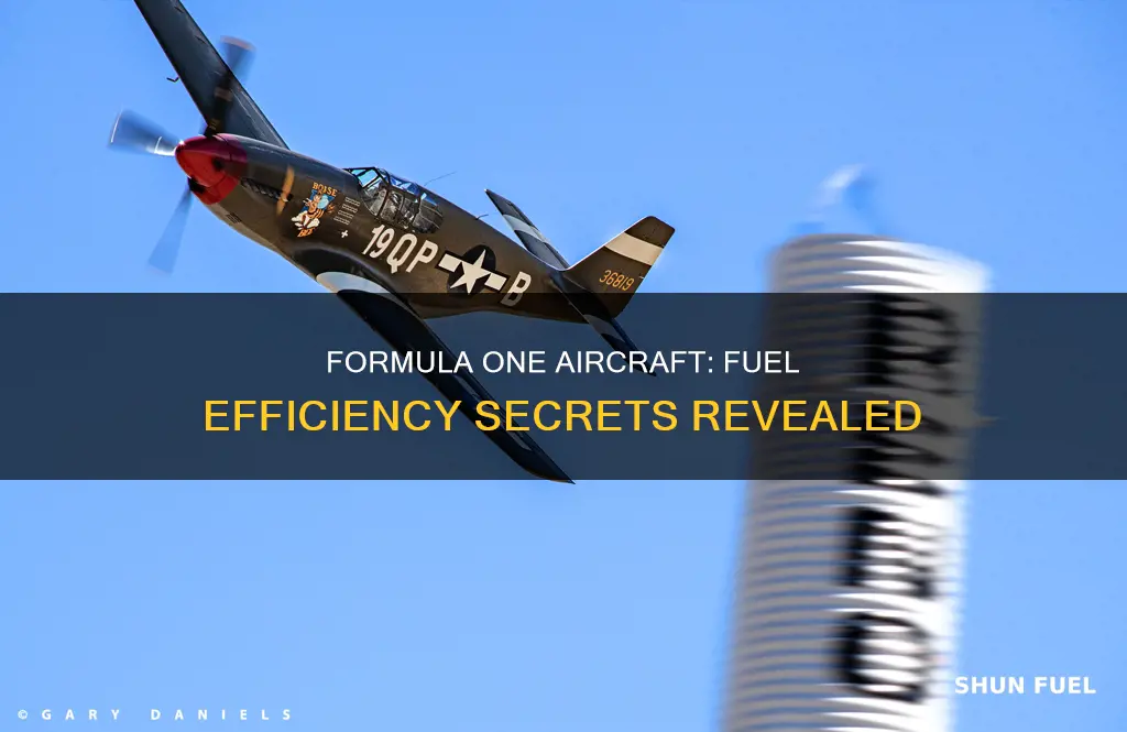 how much fuel do reno formula one aircraft burn