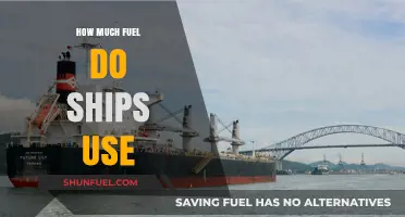 The Fuel Consumption of Ships: How Much?