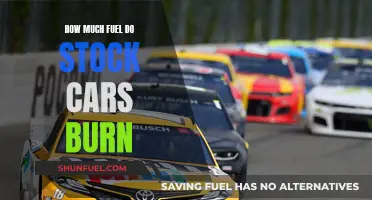 Fuel Consumption of Stock Cars: Burning Questions Answered