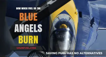 Blue Angels' Fuel Consumption: Burning Up the Sky