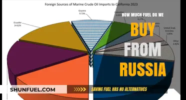 Russia's Fuel Sales: Who's Buying and Why?