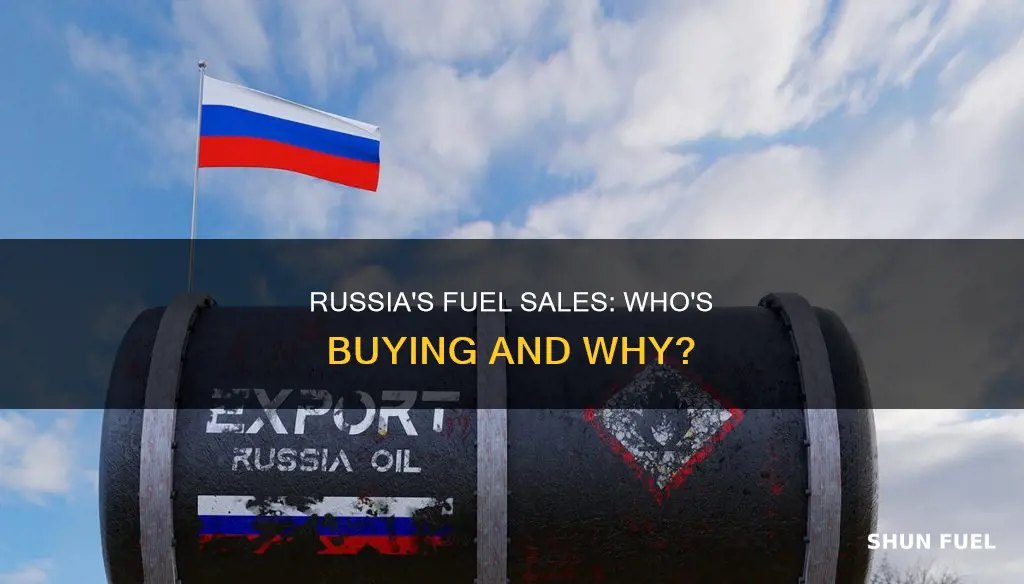 how much fuel do we buy from russia