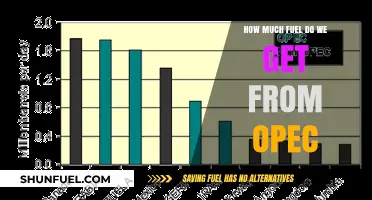 OPEC's Fuel Supply: Powering the World