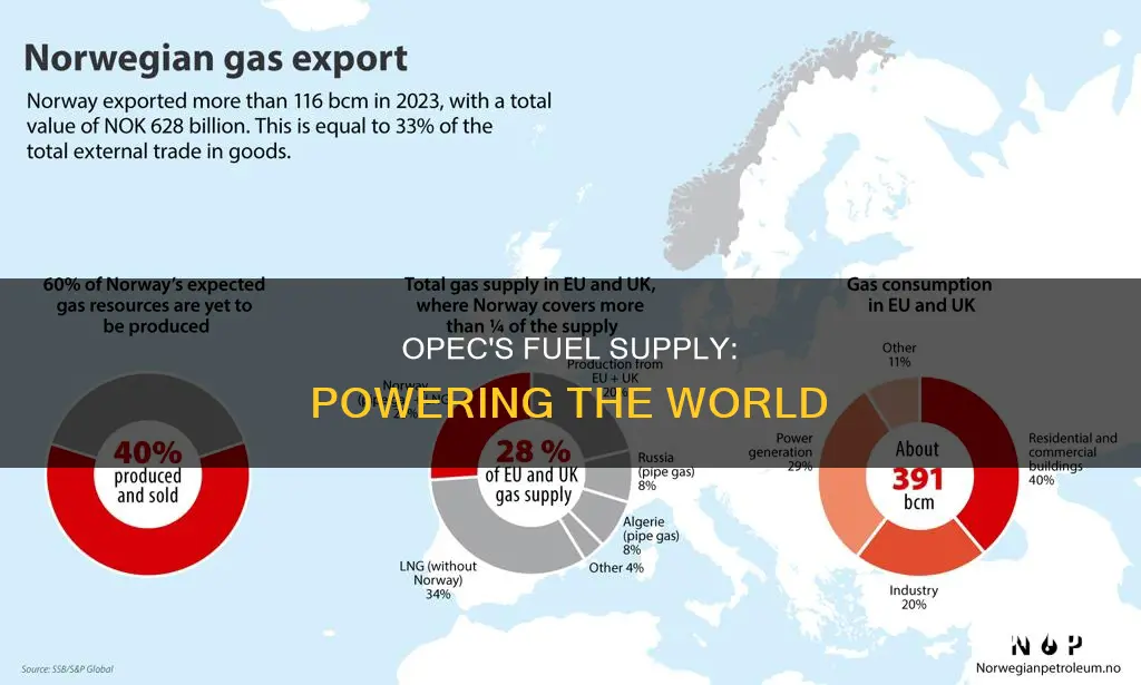 how much fuel do we get from opec