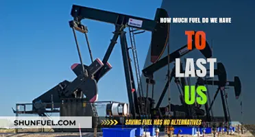The World's Fuel: How Long Will It Last?
