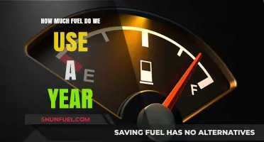 Our Annual Fuel Consumption: A Startling Overview
